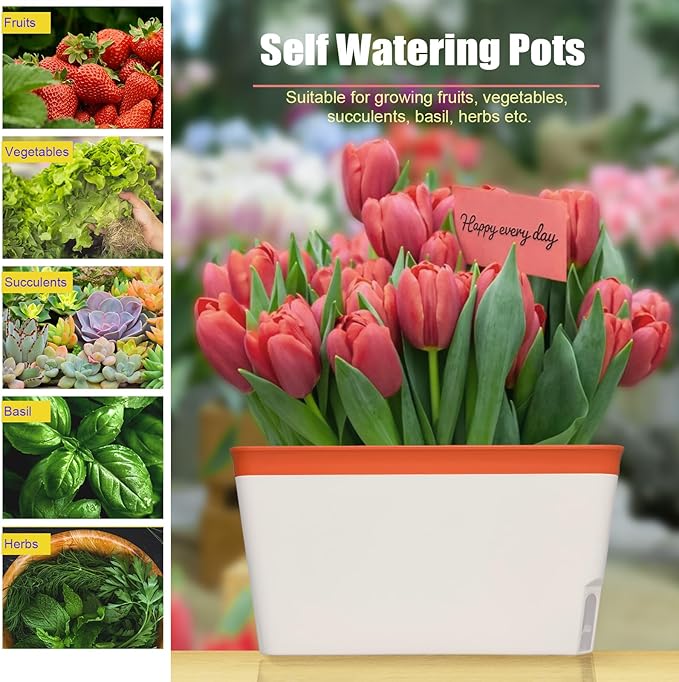 OurWarm Windowsill Herb Planter Box Indoor Set of 3, 10.5 Inch Self Watering Planter Pots with Visual Water Level Window, Modern Plastic Plant Pots for Herbs, Vegetables, Succulents Plants