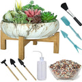 Succulent Pots with Drainage, 10 Inch Large Succulent Planters with 2.2lb Mix Pebbles, Planting Tools Set for Beginner, Shallow Marble Bonsai Pot with Stand Ceramic Pot for Indoor Cactus Flower Plants