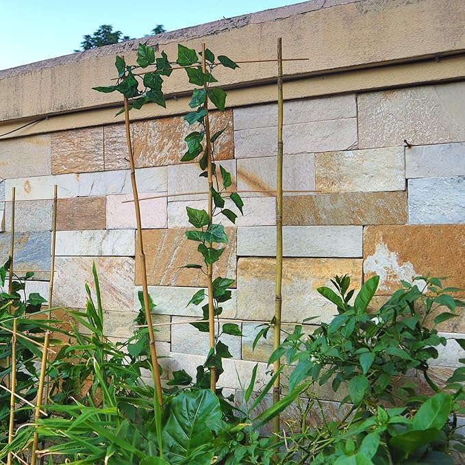 10 Pack 3ft Bamboo Trellis for Climbing Plants - Fan-Shaped Support Trellis for Potted Plant Decor in Door