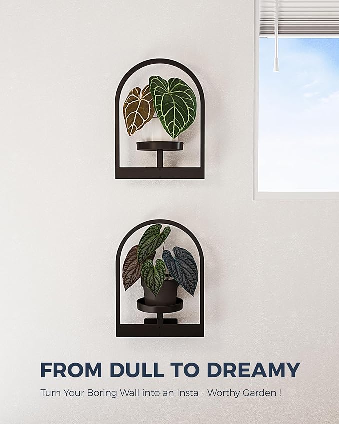 Bamworld Plant Stand Indoor, Plant Hanger Wall Planters for Indoor Plants Window Plant Shelves Plant Holder Wall Decor, Room Decor, Round (Patent Design)