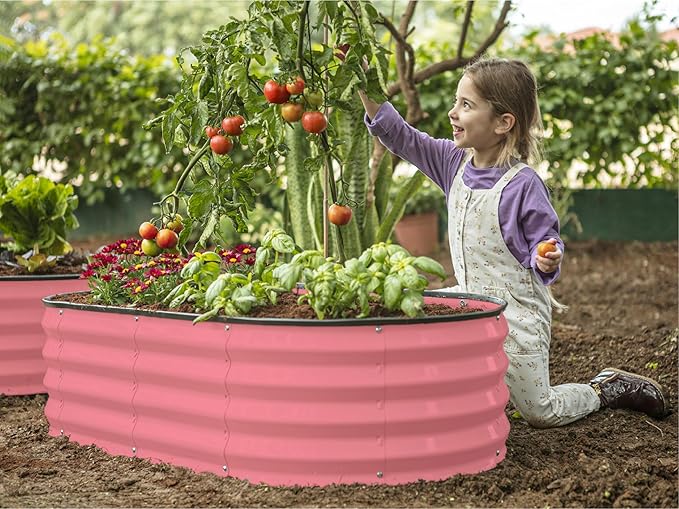 Plant & Plot Galvanized Raised Garden Beds Outdoor // 4×2×1 ft (2-Pack) Planter Raised Beds for Gardening, Vegetables, Flowers // Large Metal Garden Box (Pink) // Patented Tool-Free Design