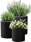 Keter Cylinder Set of 3 Rattan Resin Planter for Indoor and Outdoor Plants Ideal Decorative Planter for Porches and Patio Decor, Black