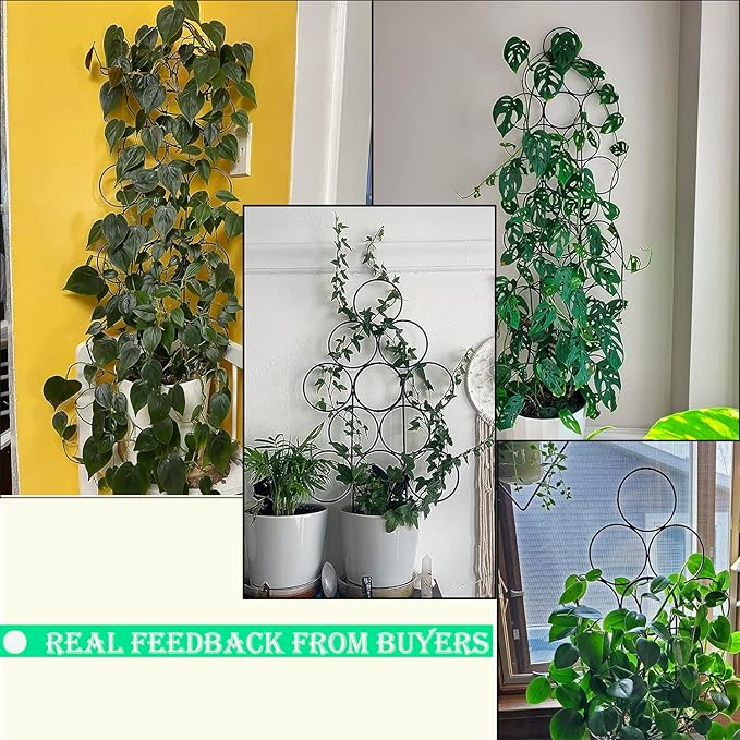 Trellis for Climbing Plants Indoor,4 Pack Stackable Garden Trellis for Potted Plant Support, 15.7 Inch Small Houseplant Metal Wire Trellis for Vine Ivy Rose Plant Trellis (Black)