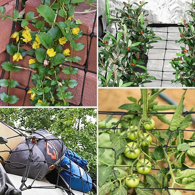 VIVOSUN 5 x 5Ft. Elastic Trellis Netting with 4 Hooks for Climbing Plants, Vegetables, Fruits, and Flowers, 1-Pack