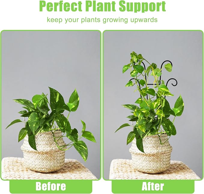 Coomin Small Plant Trellis for Climbing Plants Indoor, 14.5in Metal House Plant Trellis for Potted Plants, Mini Plant Support for Hoya Pothos, Black