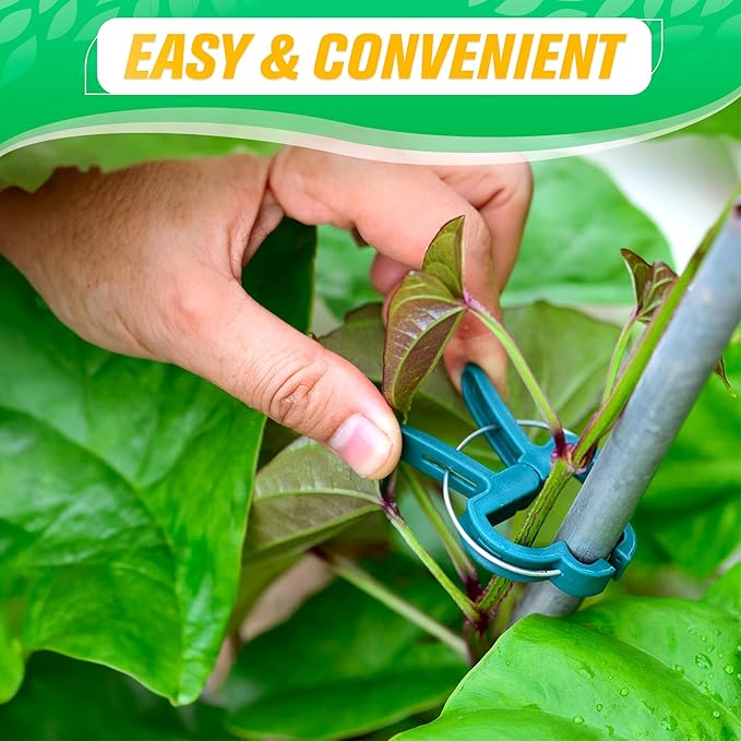 Tomato Plant Support Clips – 60 Pcs Reusable Plastic Garden Clips in 2 Sizes for Upright Growth of Vegetables, Flowers & Vines