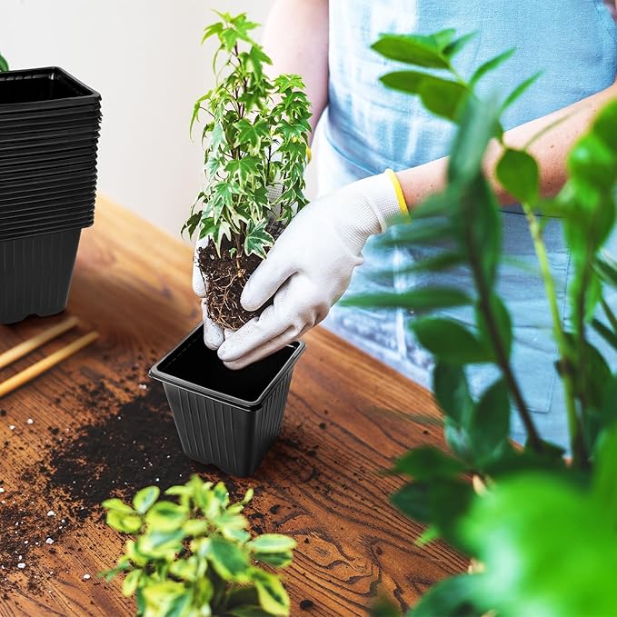 Anyumocz 100Pcs Square Plant Nursery Pots,3.5 Inch Plastic Pots with Drainage Holes,Reusable Seed Starter Pots for Flowers,Vegetables,Garden Planting,Transplanting,Succulents,Cuttings(Black)