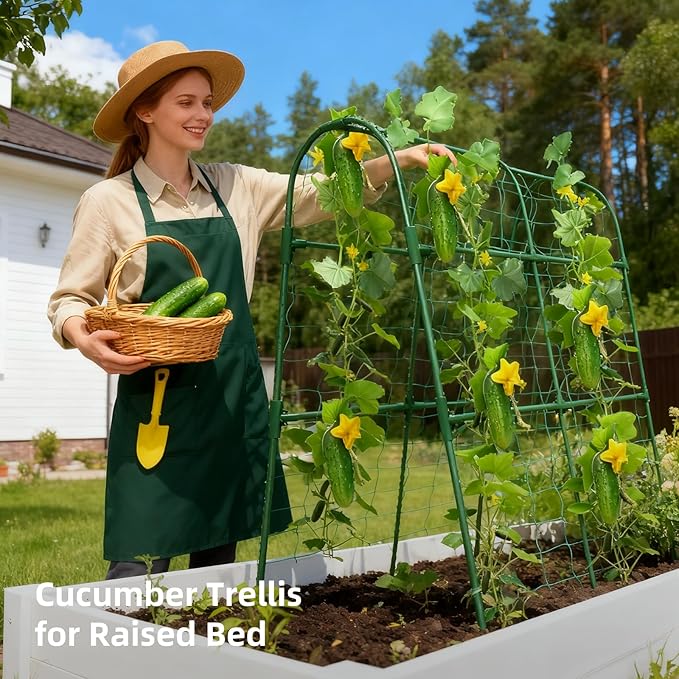 Cucumber Trellis for Raised Bed, U-Shape Garden Arch Metal Support for Climbing Plants, Metal Arch Plant Support Vegetables Trellis, Plant Support for Vine (Green, 31.5 * 30 * 47inch(L*W*H))