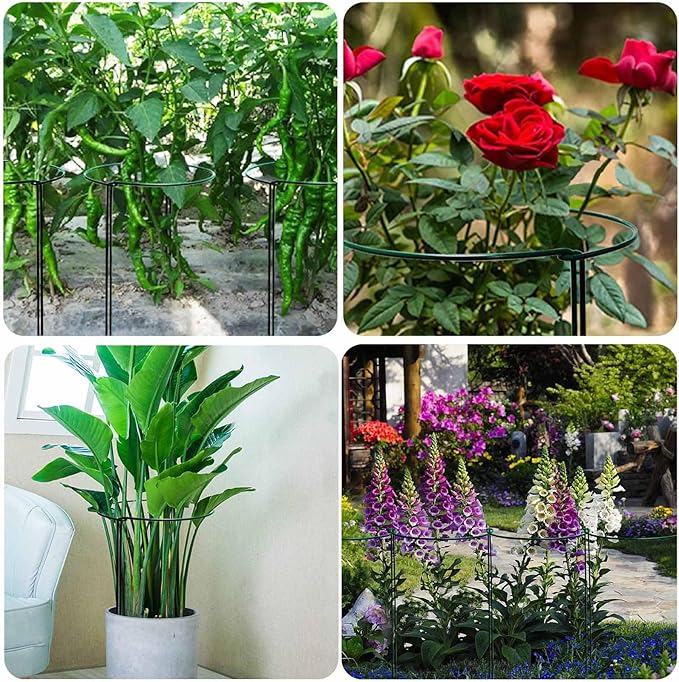 TCBWFY 10 Pack Plant Support Stakes for Peony,10"Widex24"High Heavy Duty 4.5mm Peony Cages and Support,Metal Peony Supports for Outdoor Indoor Plants,Plant Supports for Peony