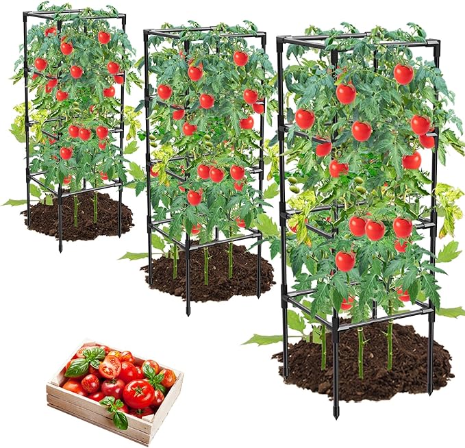 3 Pack Tomato Cages, Square Tomato Plant Stakes Support Cages Trellis for Garden Climbing Vegetables Flowers Fruits,Extra Bold,Black