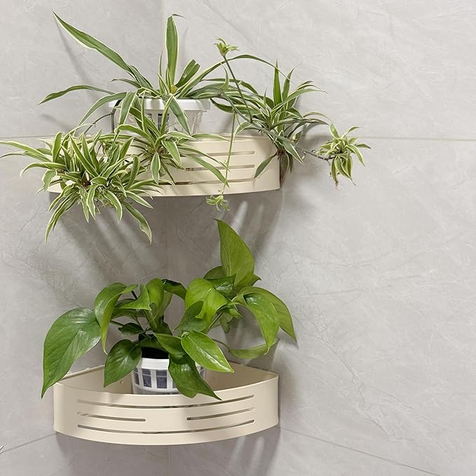 Set of 3 Plastic Window Planter with Suction Cup Holder. Large Window Popagation. Clear Self Watering Window Mounted Plant Pots. Window Sill Planters Extender for Indoor Hydroponic Plants