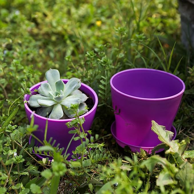 TDHDIKE 10 Pcs Plastic Planters Indoor Flower Plant Pots, Mini Flower Seedlings Nursery Pot/Planter/Flower Pot with Pallet, Modern Decorative Gardening Containers (Purple)