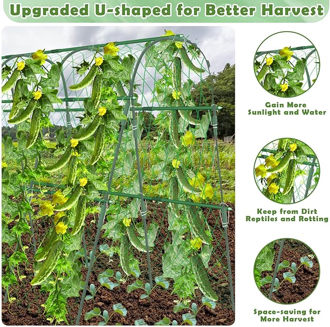 Cucumber Trellis for Raised Beds, 63 x 45 Inch U-Shaped Garden Trellis for Climbing Plants Outdoors with Climbing Net, Metal Detachable Arch Plant Support Vegetable Trellis