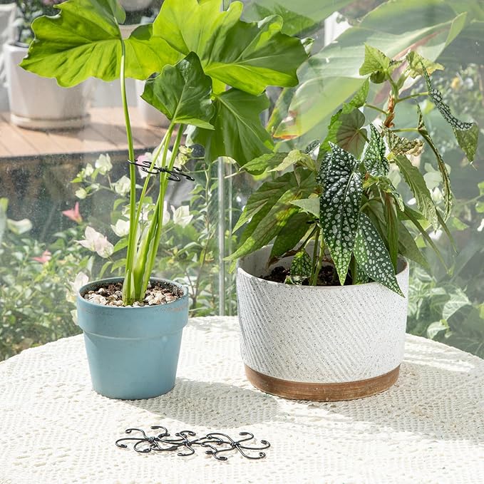 Monstera Plant Stem Support Set - 2.75x2.75 inches 5 Durable Fishbone Design Stabilizers for Indoor Climbing Plants - Perfect Leaf Holders & Gifts for Plant Lovers