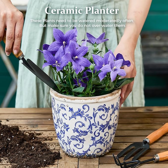Vintage Ceramic Planter with Drainage Hole, Plastic Tray & Mesh, 6.5 Inch - Indoor/Outdoor Flower Pot, Blue Floral Rustic Farmhouse Design Plant pot for Home, Office & Garden Décor, Ideal Gift