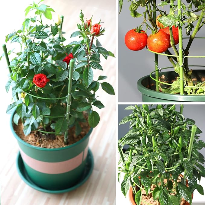LEOBRO 4 PCS Plant Support Cages, Tomato Cages, Metal Garden Plant Support Ring, Plant Trellis, Plant Stakes for Tomato, Climbing Plant, Flower, Seedlings, 17.7" High, 7.1"/7.87"/8.66" Inner Diameter