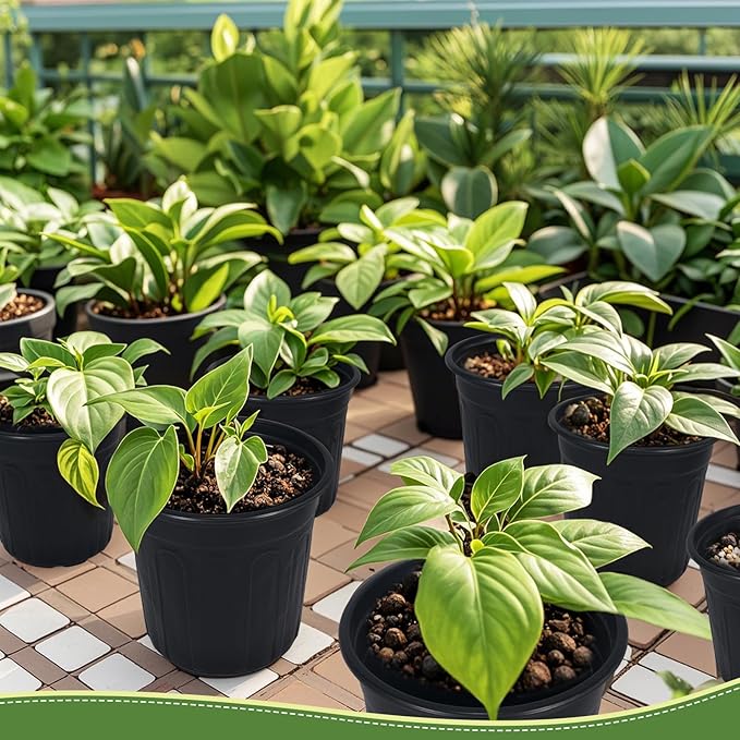 100Pcs 1 Gallon Black Nursery Pots, Soft Plastic Seedling Plant Pot with Holes, Garden Flower Seedling Pot for Indoor/Outdoor Use, Small to Medium Size