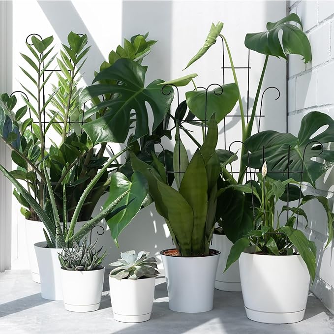 4P Plant Trellis for Potted Plants, Larger 23in Garden Trellis for Climbing Plants Indoor Outdoor, Rustproof House Plant Support Stakes for Pothos Hoya Ivy Flower