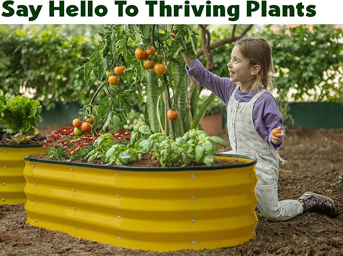 Plant & Plot Galvanized Raised Garden Beds Outdoor // 4×2×1 ft (2-Pack) Planter Raised Beds for Gardening, Vegetables, Flowers (Yellow) // Large Metal Garden Box