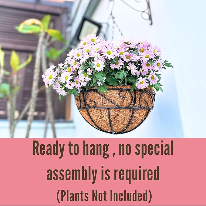 LaLaGreen Hanging Planter for Outdoor Plants (16 Inch, 6 Pack) Hanging Baskets with Coco Liner, Black Metal Wire Flower Basket Pots with Hook Hanger Balcony Porch Farmhouse Country Style Garden Decor