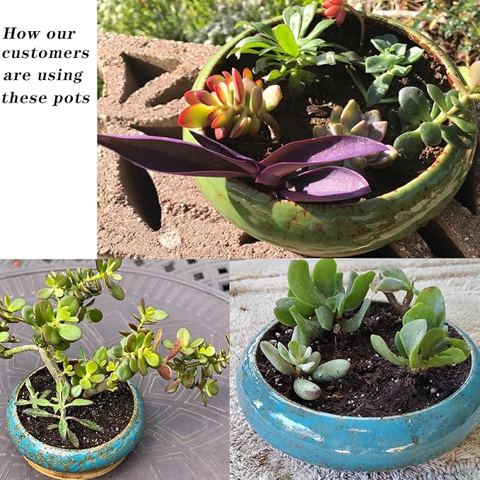 ARTKETTY Succulent Pot, 10 Inch Large Succulent Planter Pot with Stand, Ceramic Bonsai Pot with Mess Drainage Screen Shallow Cactus Flower Pot for Indoor/Outdoor Plants