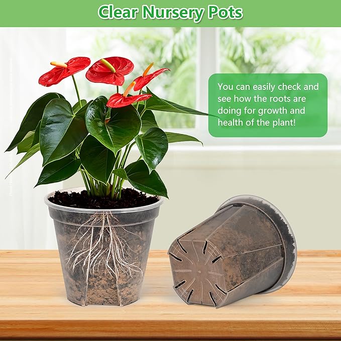 5 Set 7 Inch Transparent Plastic Garden Pots with Saucer - Planter with Drainage Hole for Indoor and Outdoor Plants - Includes 10 Plant Labels