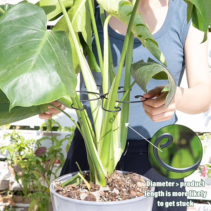 Monstera Plant Stem Support Set - 7.5x7.5 Inch Durable Stabilizers for Indoor Climbing Plants and Leaf Holders - Promote Healthy Growth and Stability (5 Pieces)