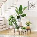 5-Pack Heavy Duty Flower Pot Stands Holder for Multiple Plant,Potted Plant Holder Round Plant Shelf for Planter for Living Room,Garden Home