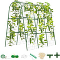 Cucumber Trellis for Raised Bed, U-Shape Garden Trellis for Climbing Plants Outdoor, Metal Arch Trellis for Vegetables, Plant Support for Tomato, Pea, Zucchini, Squash