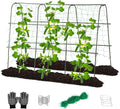 Lalahoni Cucumber Trellis, 65x48 inch Garden Trellis for Climbing Plants Outdoor, Metal Garden Arch Climbing Plant Support Vegetables Peas Beans Squash Cucumber Trellis for Raised Bed, Green