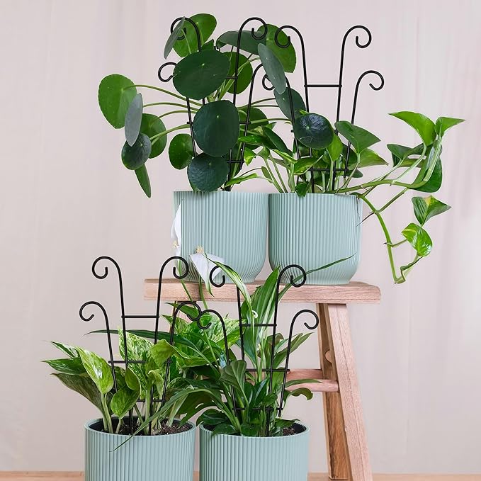 Coomin Small Plant Trellis for Climbing Plants Indoor, 14.5in Metal House Plant Trellis for Potted Plants, Mini Plant Support for Hoya Pothos, Black