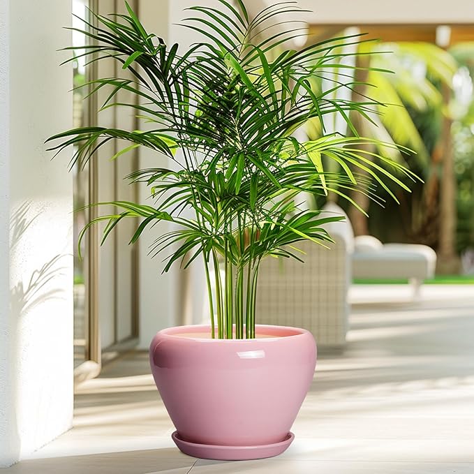 Ceramic Modern Glaze Succulent Planter Pot with Drainage Hole and Saucer 8 Inch Round Flower Plant Pot for Indoor Outdoor Herb Snake Plants, Pink