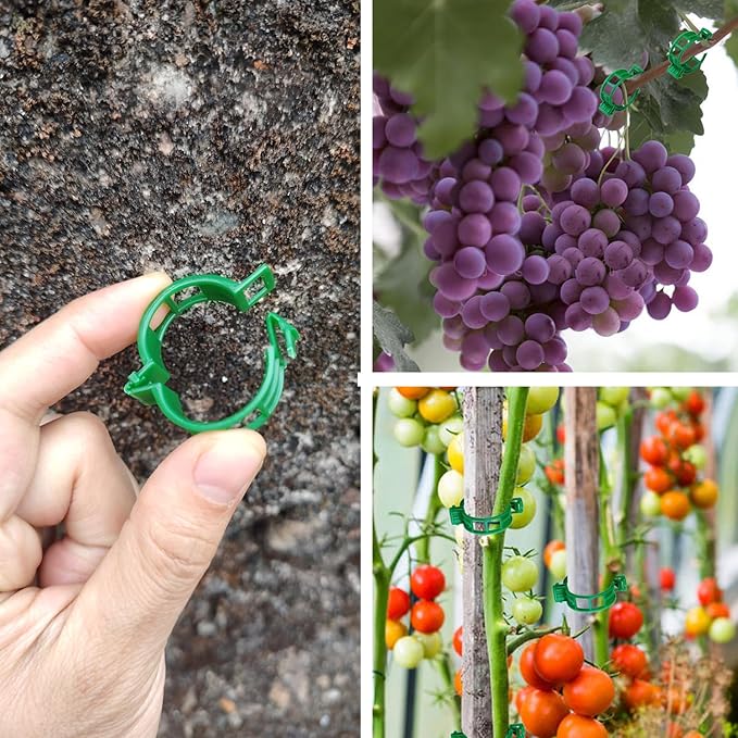 Plant Support Clips, 100 Pcs Tomato Clips, Plastic Trellis Clips, Grape Vine Tomato Vine Vegetables Plants Garden Support Clips to Grow Upright Makes Plants Healthier