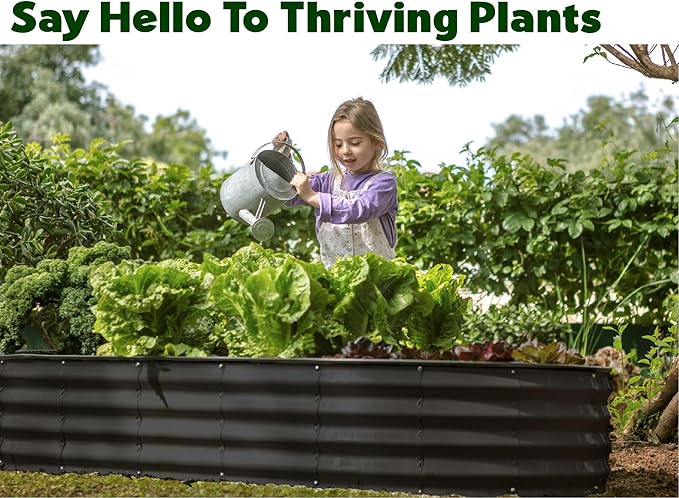 Plant & Plot Galvanized Raised Garden Beds Outdoor // 8×4×1 ft (2-Pack) Planter Raised Beds for Gardening, Vegetables, Flowers // Large Metal Garden Box // Patented Tool-Free Design (Black)