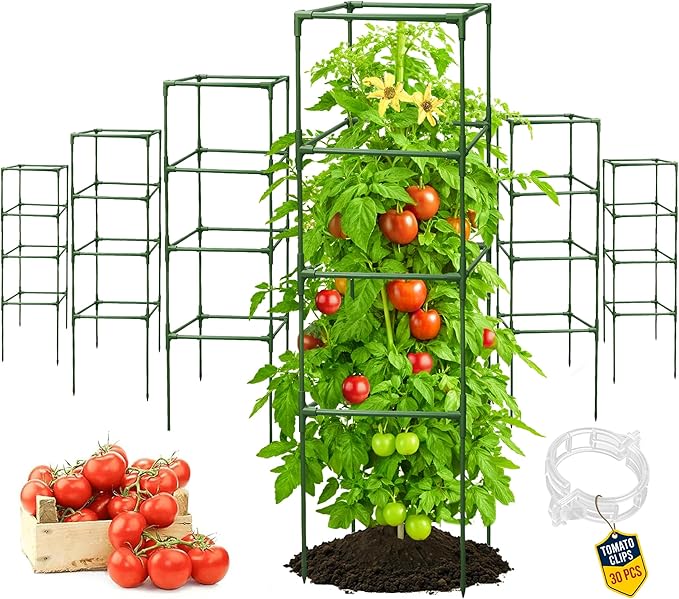 Tomato Cage Square - Large Trellis Stakes and Plant Support Structures for Vegetables and Climbing Plants - Tall Tomato Cages for Garden, Pots, Raised Garden Bed Outdoor Supplies (6 Pack - Up to 58")
