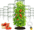 Tomato Cage Square - Large Trellis Stakes and Plant Support Structures for Vegetables and Climbing Plants - Tall Tomato Cages for Garden, Pots, Raised Garden Bed Outdoor Supplies (6 Pack - Up to 58")