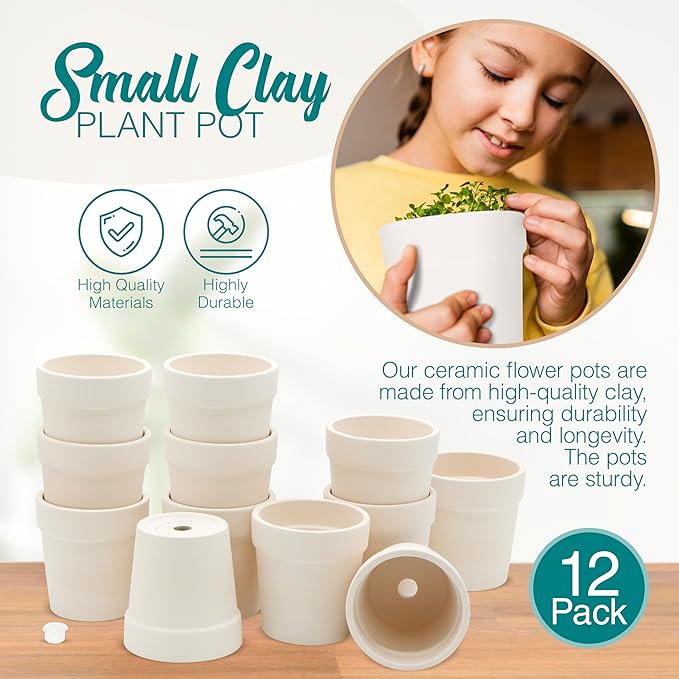 4E's Novelty Ceramic Flower Pots with Drainage Holes, 3.14", Pack of 12, Small Clay Garden Planters for Succulents, Cactus, Plants, DIY Easter Spring Craft Activity