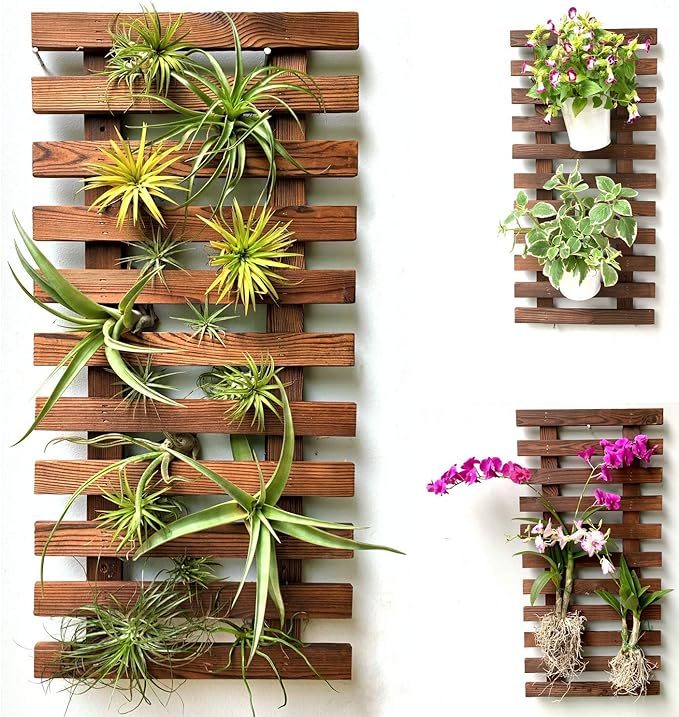 ShopLaLa Wall Planter - Wooden Hanging Planter for Indoor Plants, Plant Stand, Air Plant Succulent Holder, Vertical Garden. Large Wall Decor for Living Room, Room Decor for Teens, 60cm (23.6")