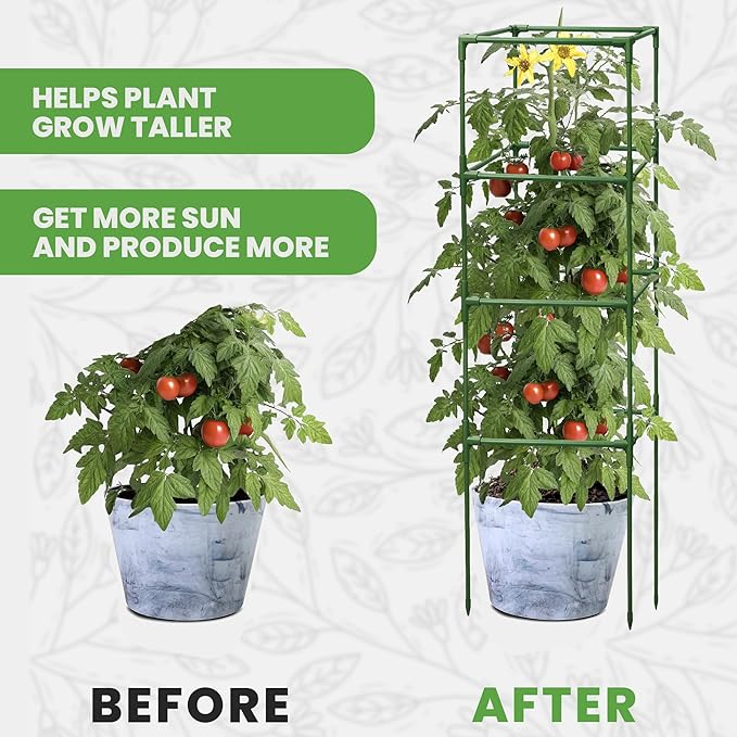 Tomato Cage Square - Large Trellis Stakes and Plant Support Structures for Vegetables and Climbing Plants - Tall Tomato Cages for Garden, Pots, Raised Garden Bed Outdoor Supplies (1 Pack - Up to 58")