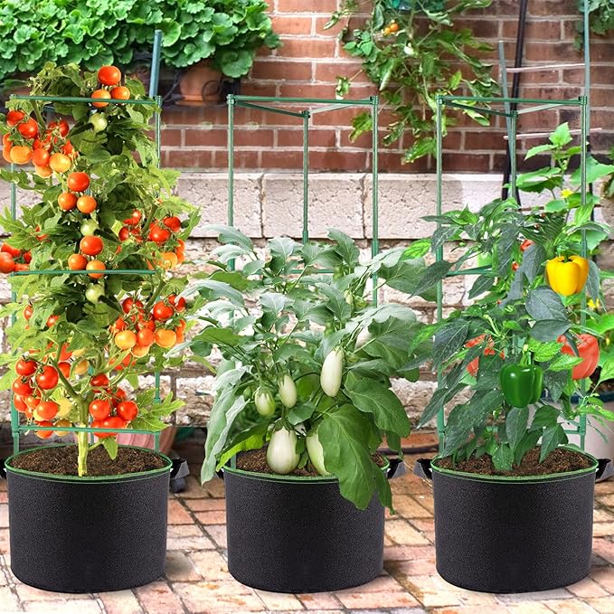 ANPHSIN 3 Sets Tomato Cages with 15 Gallon Grow Bags - 48" Stable Plant Garden Planter, Flowers Vegetable Trellis Pots for Tomato Vertical Climbing Plants Vines