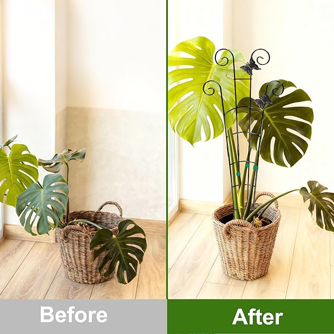 COOMIN 30'' Monstera Plant Support Outdoor, Metal Expandable Plant Supports for Indoor Plants, 4P Garden Trellis for Climbing Plants Indoor - Ivy, Pothos, Philodendron, Hoya