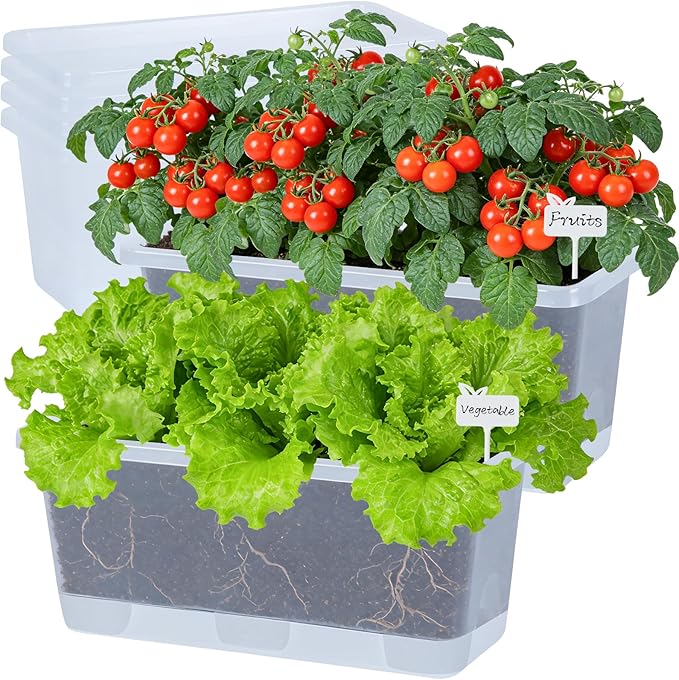 Window Box Planter 6 Packs, 13.8 Inches Rectangle Flower Pots with Drainage Holes & Trays, Pots for Vegetables, Herbs, Flowers, Garden Windowsill Balcony (Translucent White)