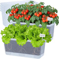 Window Box Planter 6 Packs, 13.8 Inches Rectangle Flower Pots with Drainage Holes & Trays, Pots for Vegetables, Herbs, Flowers, Garden Windowsill Balcony (Translucent White)