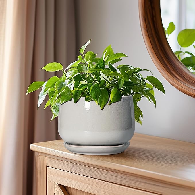 G EPGardening Ceramic Pots for Plants - 6 Inch Plant Pot with Drainage and Ceramic Tray, Modern Succulent Pots, Round Planters for Indoor Plants, Living Room Decor, Gifts for Plant Lovers, Light Grey