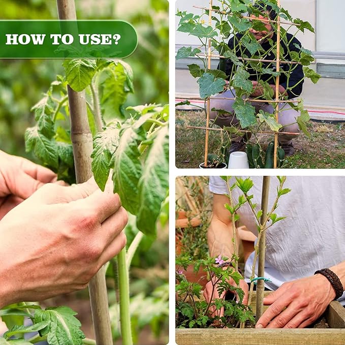 10pcs 1" D Thicker Heavy Duty Bamboo Stakes, 8FT Plant Stakes, Natural Garden Stakes for Tomato, Bean, Flowers,Trees Potted and Climbing Plant Support