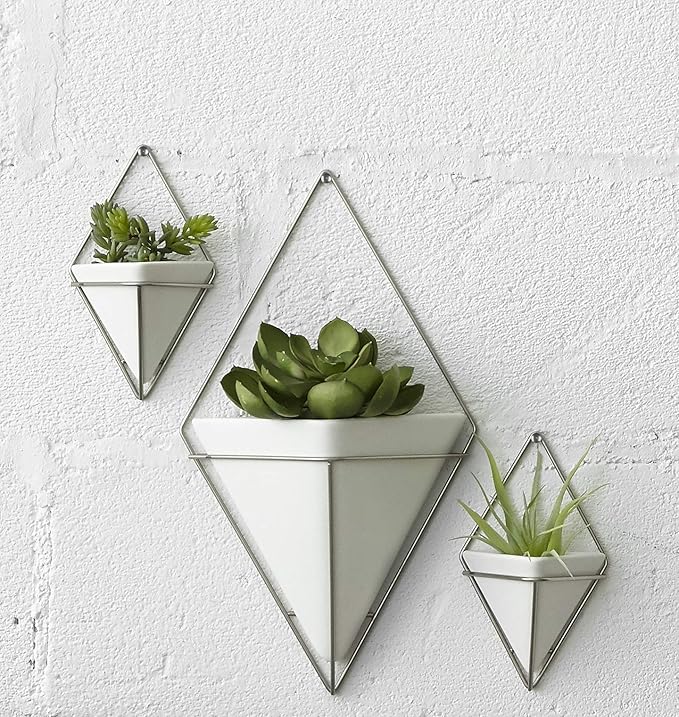 Umbra Trigg Hanging Planter Vase Wall Decor, Set of 2 Pots Containers for Succulents, Cactus, Faux Plants, and More, Small, White/Nickel