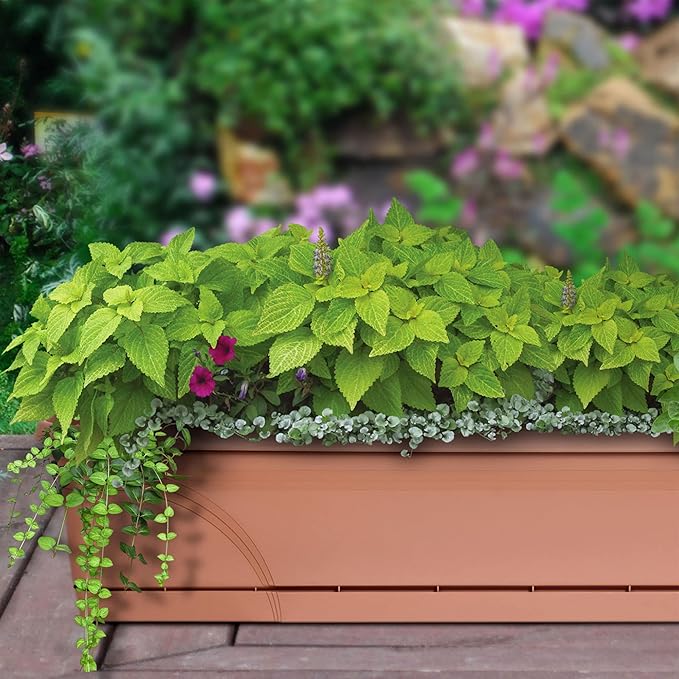 Southern Patio 36 Inch Rectangular Plastic Medallion Hanging Windowsill and Garden Box Planters with Drainage Holes, Terracotta (2 Pack)