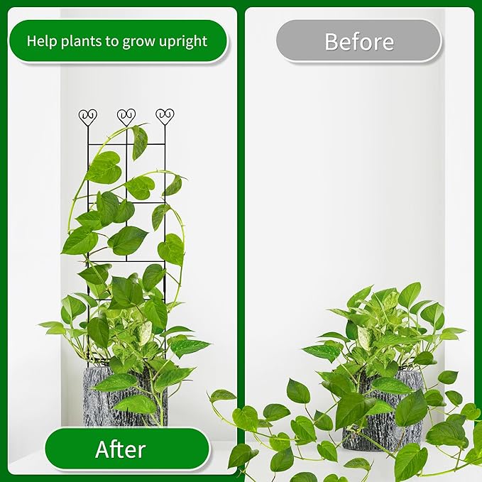 2 Pack 30'' Plant Trellis for Climbing Plants Indoors, Metal Garden Trellis for Potted Houseplant, Rustproof Plant Support for Ivy, Vines, Pothos, Hoya and Flower, Black