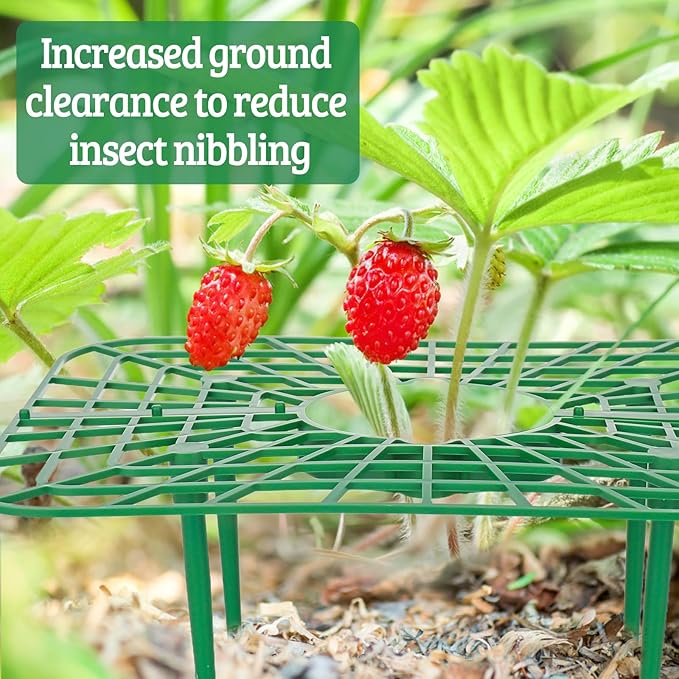 4 Sets Strawberry Plant Supports with Plant Protectors from Animals,Strawberry Growing Support Stakes with Mesh Plant Cover and Metal Garden Lawn Spikes Strawberry Planting Stand for Garden Vegetables