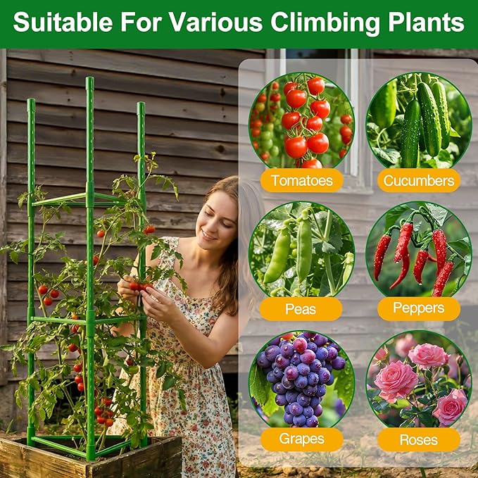 WAENLIR 3-Pack Tomato Cage for Garden, Up to 51 Inch Tomato Trellis for Raised Garden Bed, Plant Stakes for Pots, Durable Tomato Plant Support Garden Stakes for Climbing Plants (Green, 51 inch 3 Pack)